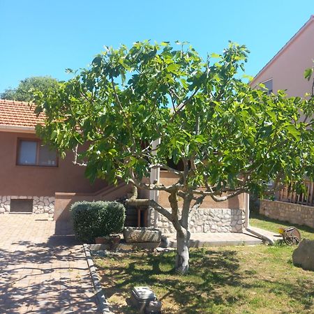 Apartmani Goga Biograd Na Moru Extérieur photo