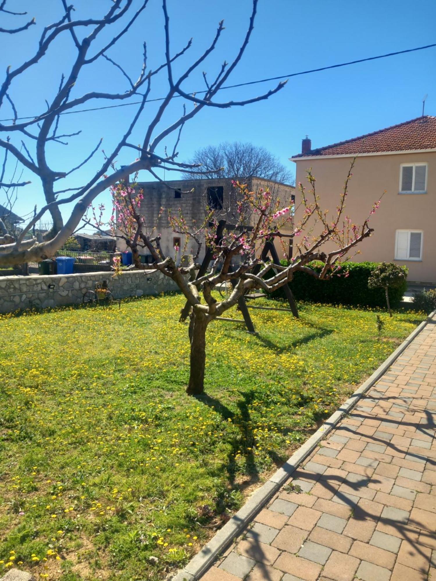 Apartmani Goga Biograd Na Moru Extérieur photo