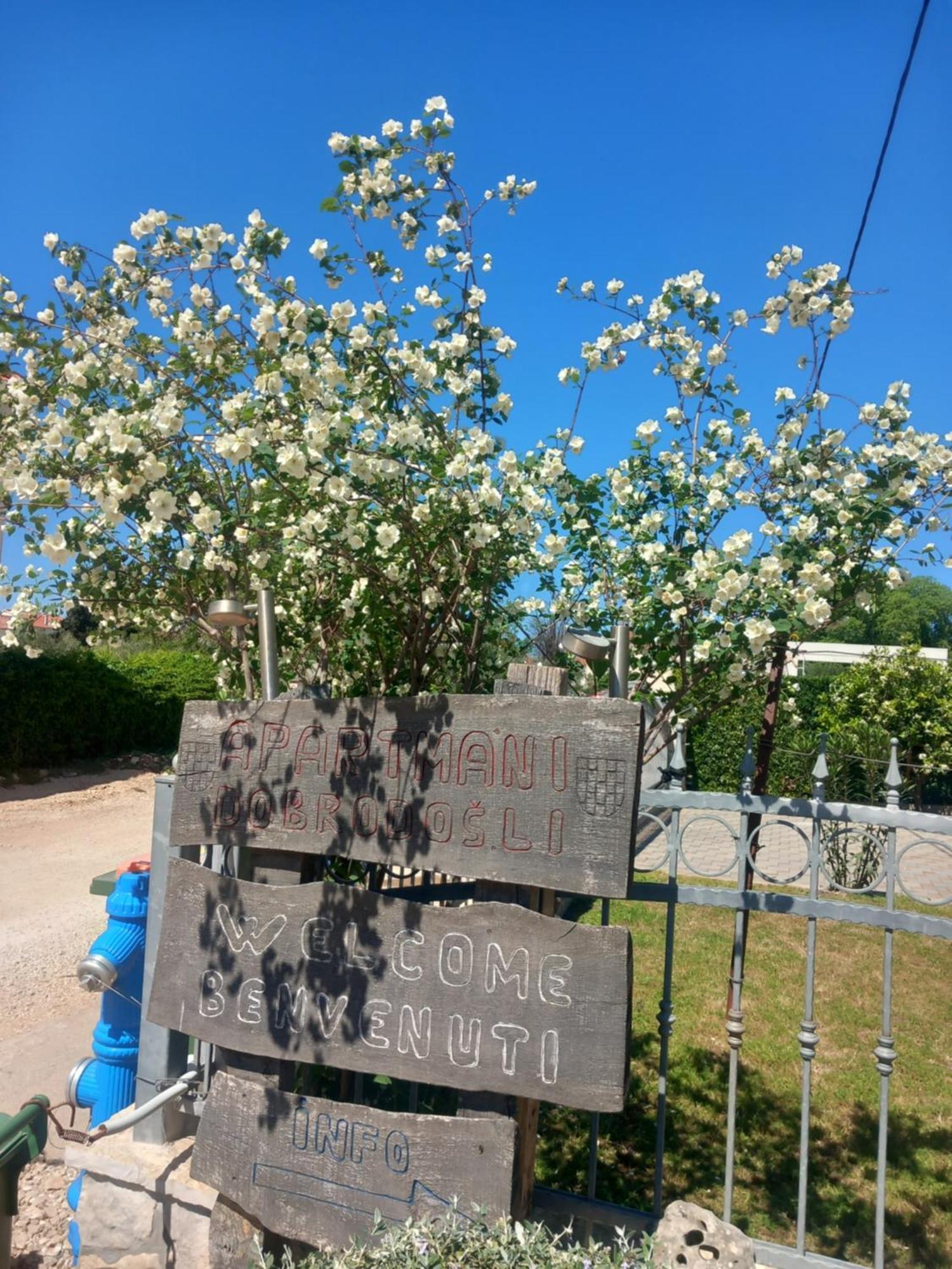 Apartmani Goga Biograd Na Moru Extérieur photo