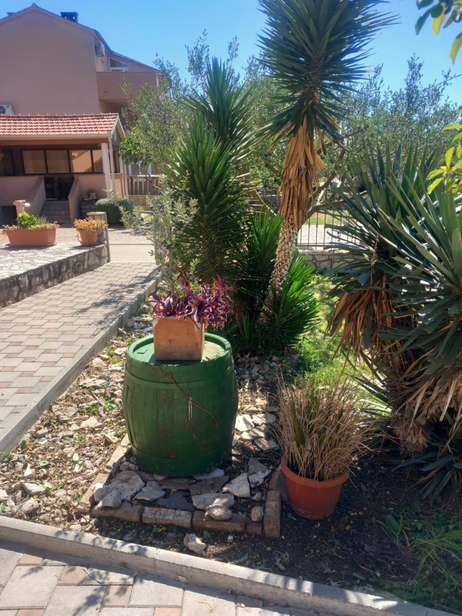 Apartmani Goga Biograd Na Moru Extérieur photo